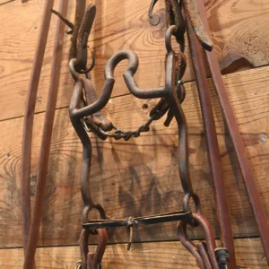 Bridle Rig - Daryl Davis - High Port - Fire Fly Hardware Bit- RIG556